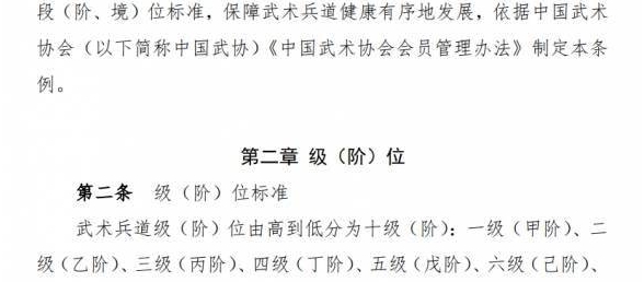  天枢境？隐元境？武术协会宣布试行按“境界”划分段位