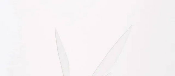 新品：寿屋 1/24 HEXA GEAR系列Alternative Messer Float