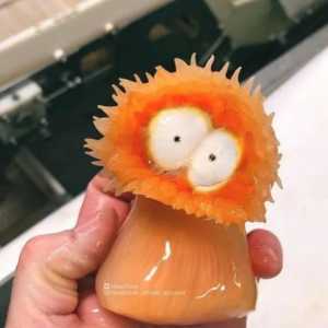 游戏公司怪物设计灵感来源第三弹？深海生物画风猎奇